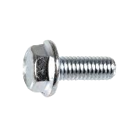 M6-1.0 x 16mm Hex Flange Screw for License Plate - Zinc &amp; Varnish